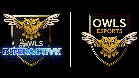 Owls interactive gaming event returns!