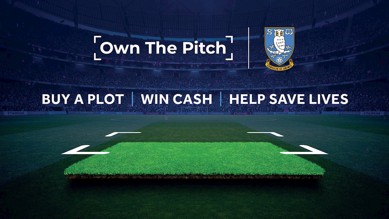 Own the pitch_2023.jpg